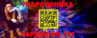 стафф Краснознаменск