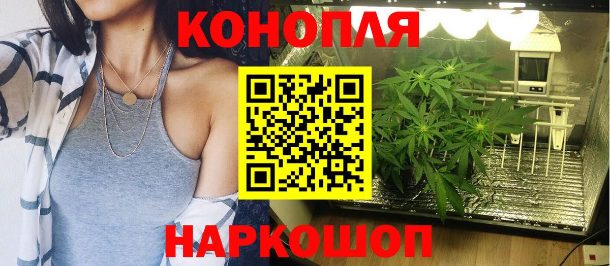 Каннабис Amnesia Шали